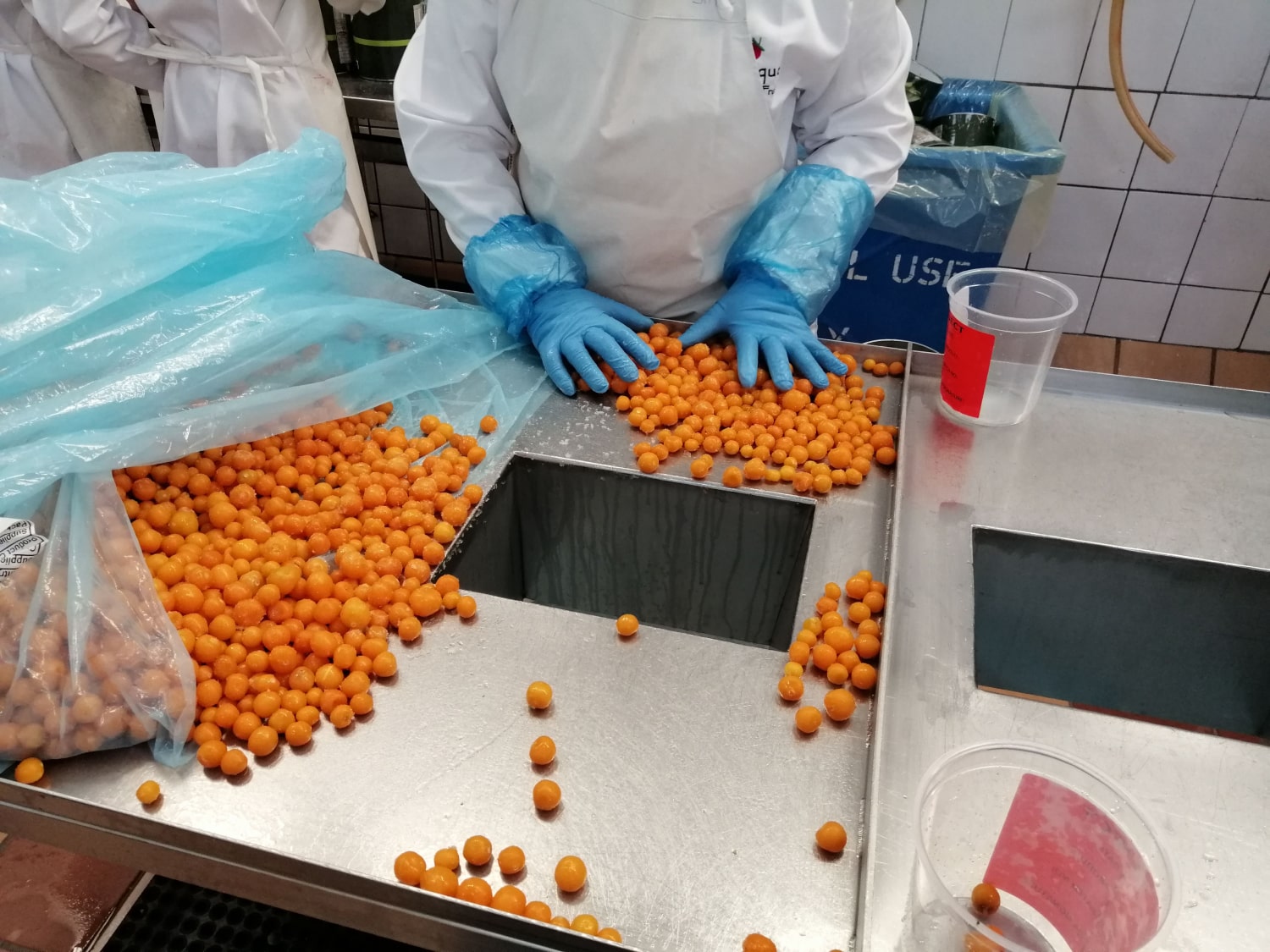 About Fruitique